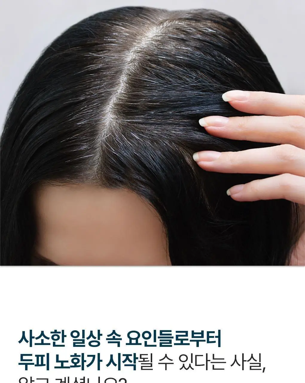 [두피뿌리&비듬관리set]라우쉬 윌로우바크 트리트먼트 샴푸 200ml&콜츠푸트 안티-댄드러프 샴푸 200ml 2종 기획 상세페이지 6